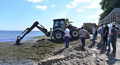 Süleymanpaşa'nın Değirmenaltı sahilinde temizlik çalışmaları başladı
