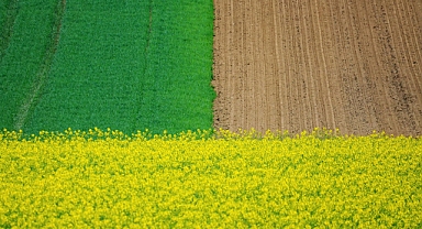 TARIMDA İNOVASYON VE GELECEĞE YÖNELİK ADIMLAR