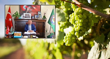 ÜZÜM YETİŞTİRİCİLİĞİ TÜRKİYE İÇİN STRATEJİK ÖNEM TAŞIYOR