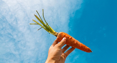 Yaz Mevsiminde Sağlığınızı Artıracak: Havuç Yemenin 5 Büyük Faydası