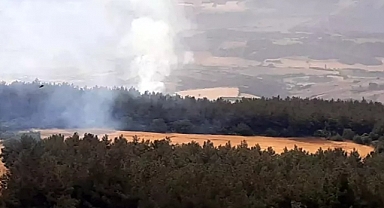 Yıldırım düşmesi ile çıkan orman yangını söndürüldü