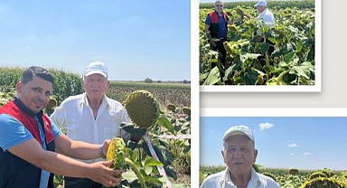 Ahmetbey'de Ayçiçeği Ekimi İncelendi