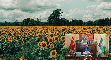 Ayçiçeği Bereketi Başlıyor