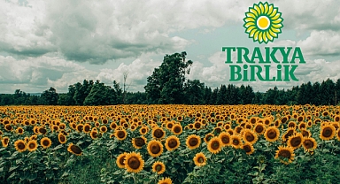 Ayçiçeği Ön Alım Fiyatı 20 Bin TL/Ton Olarak Belirlendi