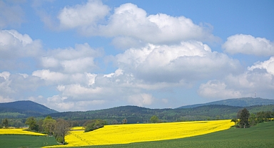Babaeski’de 2025-2027 Bitkisel Üretim Planlaması: Arpa, Ayçiçeği, Buğday ve Daha Fazlası!