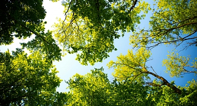 Babaeski'de 25 Ağustos 2024 Pazar Hava Durumu Raporu