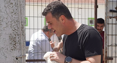 Başkan Sarıkurt´tan Sokak Hayvanları Hakkında Önemli Açıklama