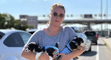 Edirne'de barınaktan sahiplendiği 'Çiko' ve 'Çilek'i yaşadığı Almanya'ya götürdü