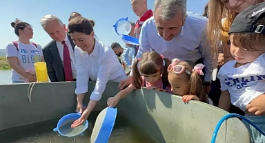 Edirne'de bu yıl 10 milyon yavru sazan üretilip, iç sulara bırakıldı