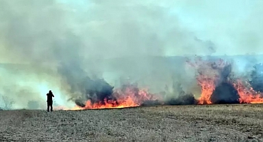 Edirne’de merada başlayan yangında 10 bin dönüm tarım alanı zarar gördü