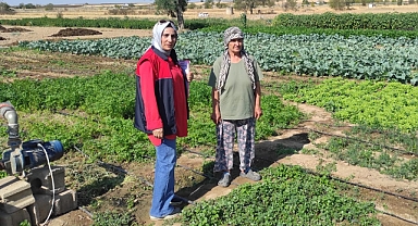 Karamesutlu Köyünde Sebze Üreticilerine Teknik Ziyaret