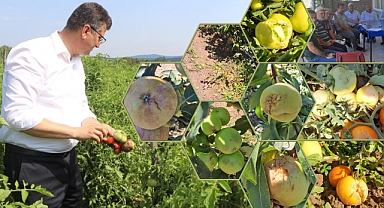 Kırklareli’de Dolu Afeti Sonrası 12 Milyon TL’lik Yardım Paketi