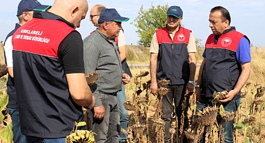 Kırklareli İl Tarım ve Orman Müdürlüğü'nden Ayçiçeği Tarlalarına Ziyaret