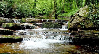 Kırklareli'nde Foto Safari Tutkunları için Doğa Fotoğrafçılığı Cenneti
