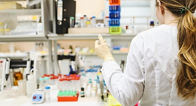 Maymun Çiçeği Virüsü: Tüm Dünyanın Gündeminde Yeni Tehdit