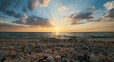 Plaj Keyfini Deniz Kabuklarıyla Taçlandırın: Bu Yazın Trendleri
