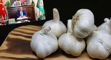 Sarımsak Üretiminin Önemi Üzerine Açıklama