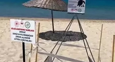 Saros'ta caretta caretta yuvası, korumaya alındı