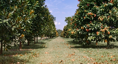 Sıcaklık ve Nemde Büyük Farklılıklar