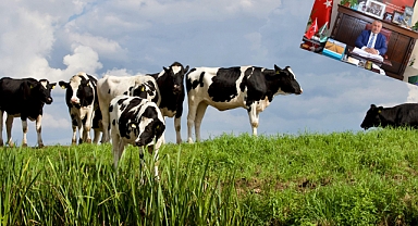 Süt Üretiminin Ekonomik ve Sağlık Açısından Önemi