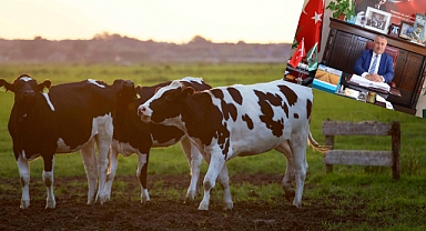 Tarım ve Hayvancılığın Bölgesel Ekonomideki Önemi Vurgulandı