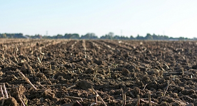 Tarla Satın Alırken Dikkat Edilmesi Gerekenler: Uzmanlardan Öneriler