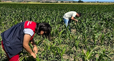 Vize'de Mısır Demonstrasyon Alanları Kontrol Edildi