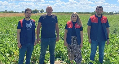 Vize‘de Şeker Pancarı Tarlaları Kontrol Edildi