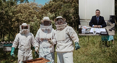 2024 Arılı Kovan Destekleme Başvuruları İçin Son Tarih: 15 Ekim 2024