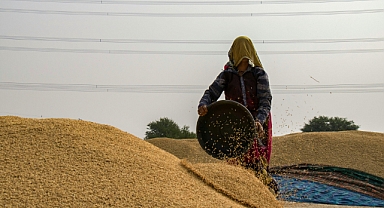 2025 Üretim Yılı ÇKS Başvuruları İçin Son Tarih 31 Aralık