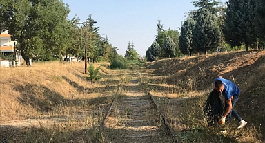 Babaeski Belediyesi Demiryolu Çevresinde Temizlik Çalışmaları Başlattı