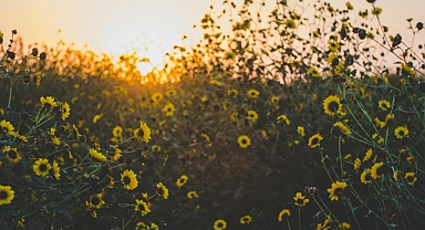 Babaeski’de Güneşli ve Sıcak Bir Gün Bekleniyor