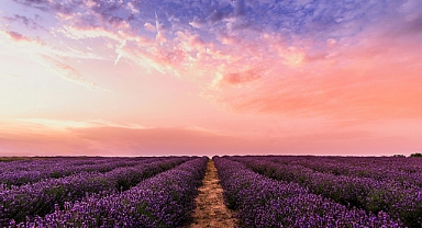 Burç Yorumları: Bugün Sizi Neler Bekliyor?