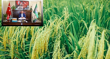 Çeltik Alım Fiyatları Açıklandı