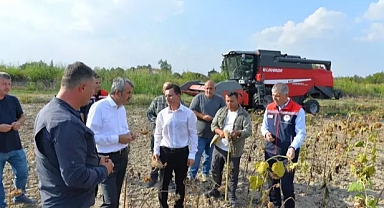 Edirne’de çerezlik ayçiçeğinin hasadı yapıldı