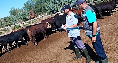 Kırklareli İl Tarım ve Orman Müdürlüğü’nden Hayvan Sağlığı Kontrolleri