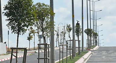 Lüleburgaz Belediyesi’nden Yeşil Bir Gelecek İçin Fidan Dikimi