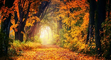 Sağlıklı Bir Sonbahar Geçirmek İçin Neler Yapmalıyız?