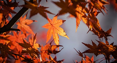 Sonbahar Ekinoksu Ne Zaman? 2024’te Hangi Güne Denk Geliyor?