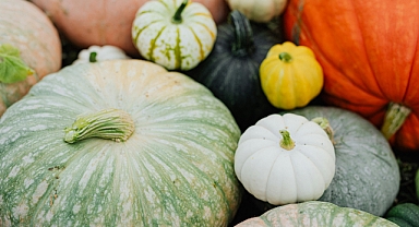 Sonbaharda Sağlığınızı Destekleyen Besinler!