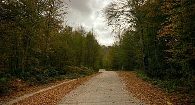 Sonbaharda Türkiye’de Fotoğraf Çekmek: Hafta Sonu İçin Mükemmel Bir Aktivite