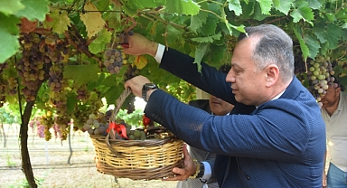 SÜLEYMANPAŞA'DA 12. BAĞ BOZUMU ŞENLİĞİ GERÇEKLEŞTİRİLDİ