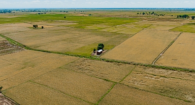 Tarım Arazilerinde Masrafsız Birleşme İmkanı!