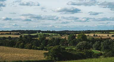 Tarla Satın Alırken Dikkat Edilmesi Gerekenler Hakkında Önemli Açıklamalar