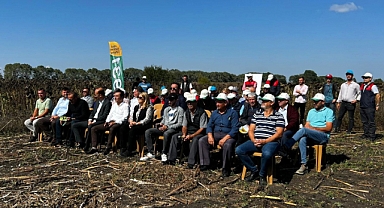 Vize'de Ayçiçek Tarla Günü Etkinliği Düzenlendi