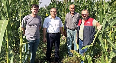 Yerli Silajlık Mısır Demonstrasyon Alanı Kontrol Edildi