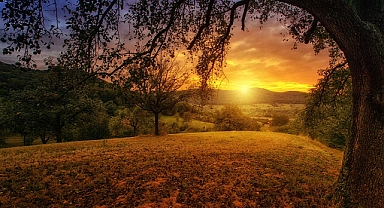 26 Ekim Dünya Çevre Sağlığı Günü: Temiz Bir Gelecek İçin Adımlar