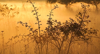Babaeski’de Sisli Hava Hakim Olacak – 28 Ekim 2024 Hava Durumu