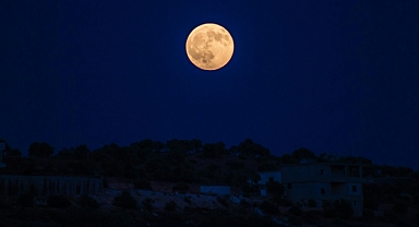 Bugün Burçlarınızı Neler Bekliyor?