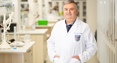 DAMARLARI TIKAYAN PLAKLARDA “TOXOPLASMA GONDII”’NİN DNA’SI BULUNDU